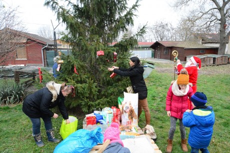 Állatok karácsonya a menhelyen - a hét minden napján várják az adományokat